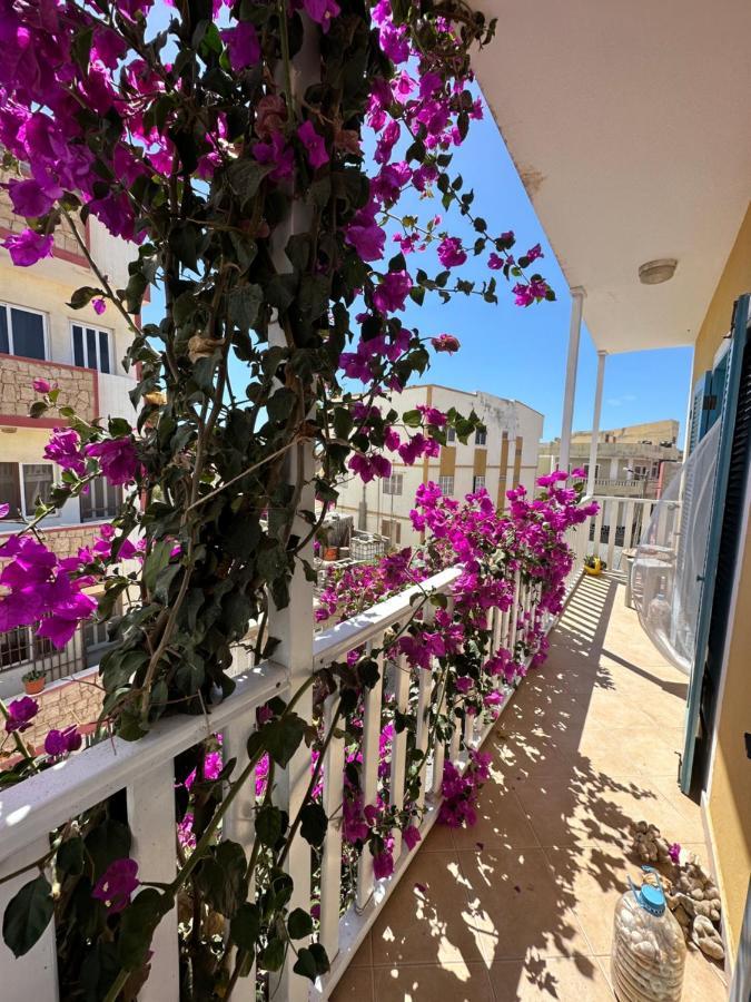 B&B Mi Ma Bo, Sal Rei, Boa Vista, Cape Verde, Free Wi-Fi Kültér fotó