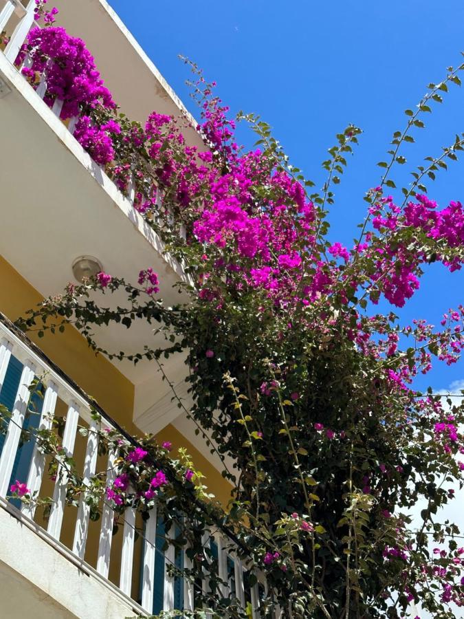 B&B Mi Ma Bo, Sal Rei, Boa Vista, Cape Verde, Free Wi-Fi Kültér fotó