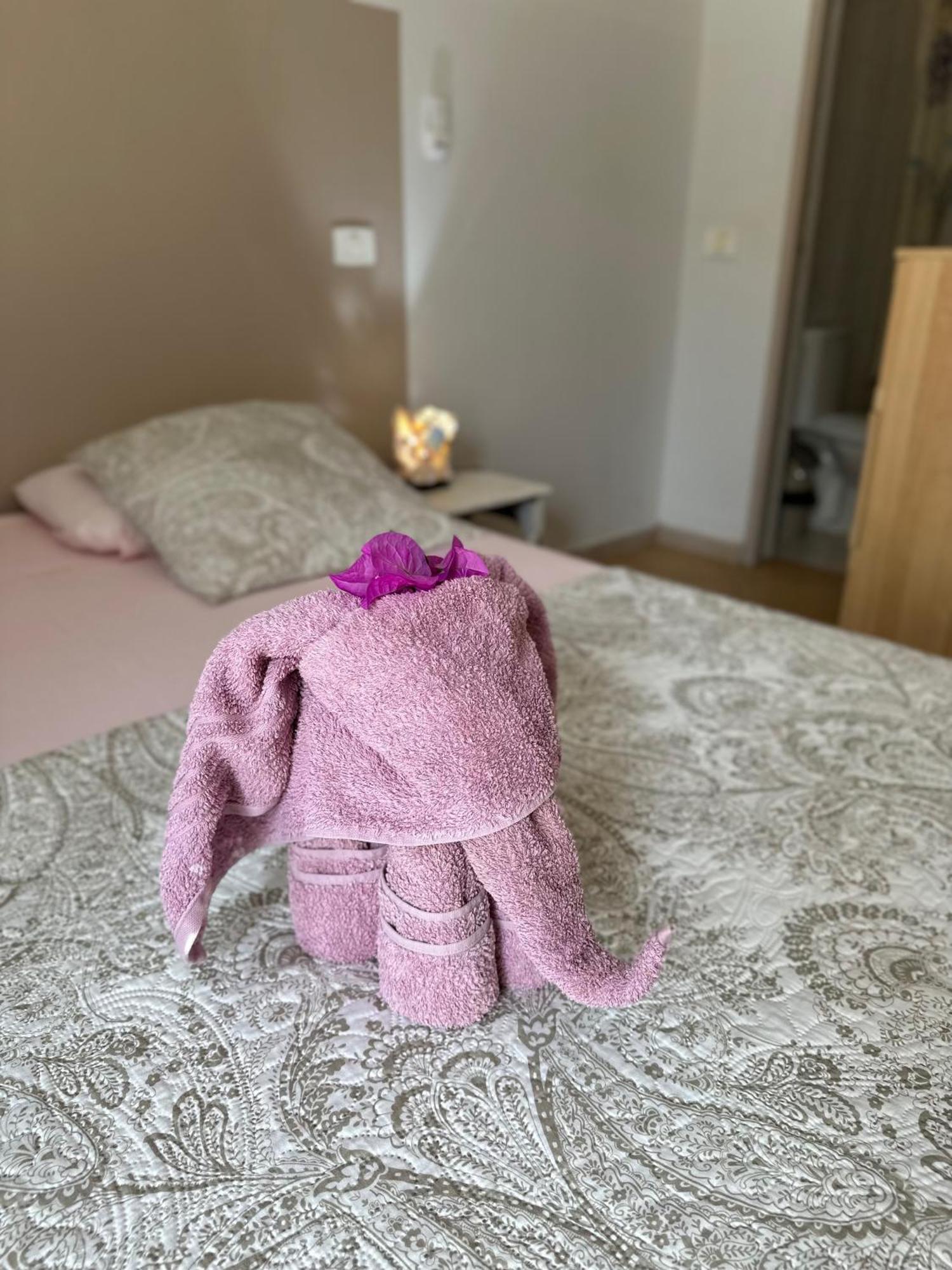 B&B Mi Ma Bo, Sal Rei, Boa Vista, Cape Verde, Free Wi-Fi Kültér fotó