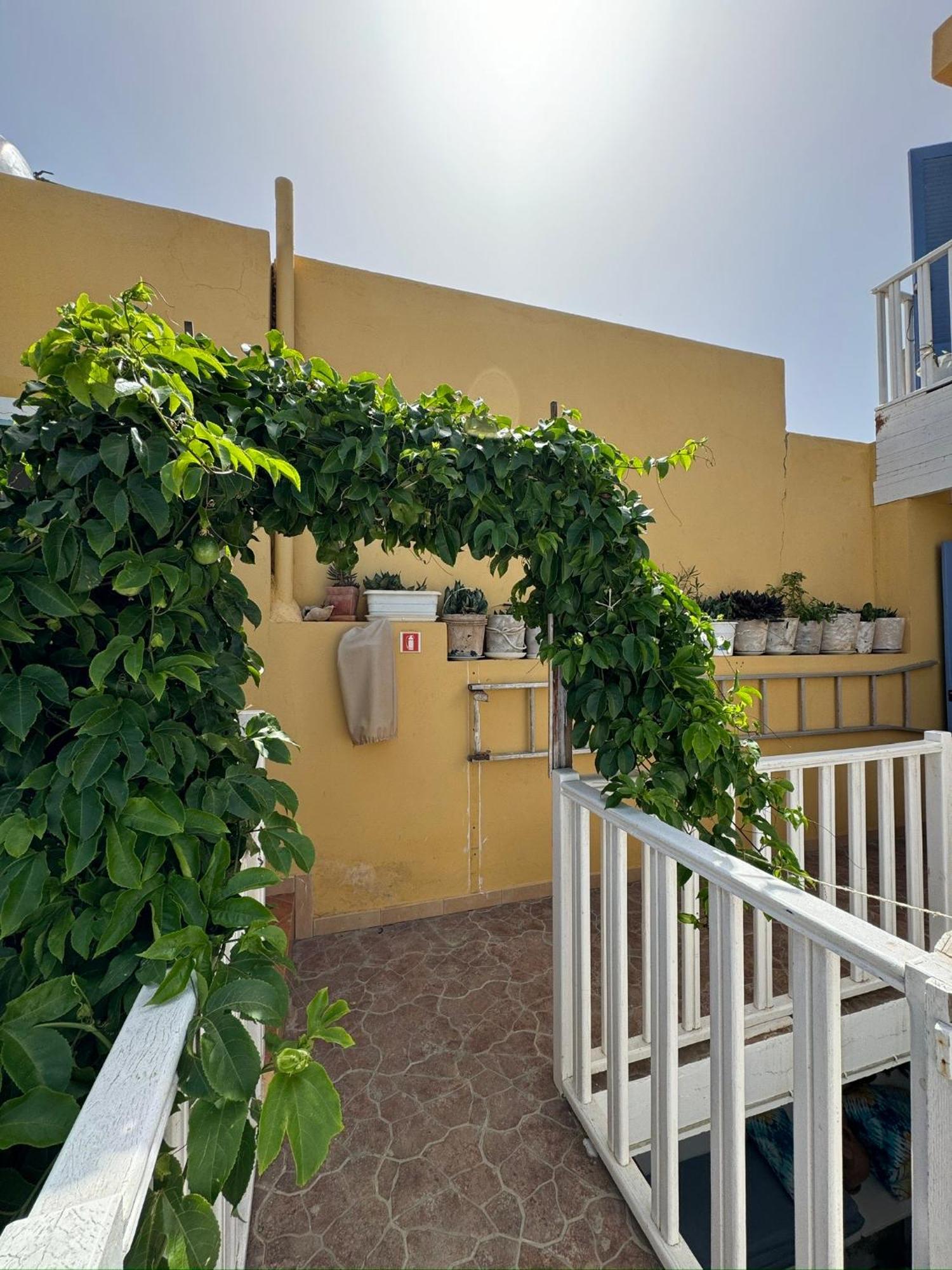 B&B Mi Ma Bo, Sal Rei, Boa Vista, Cape Verde, Free Wi-Fi Kültér fotó