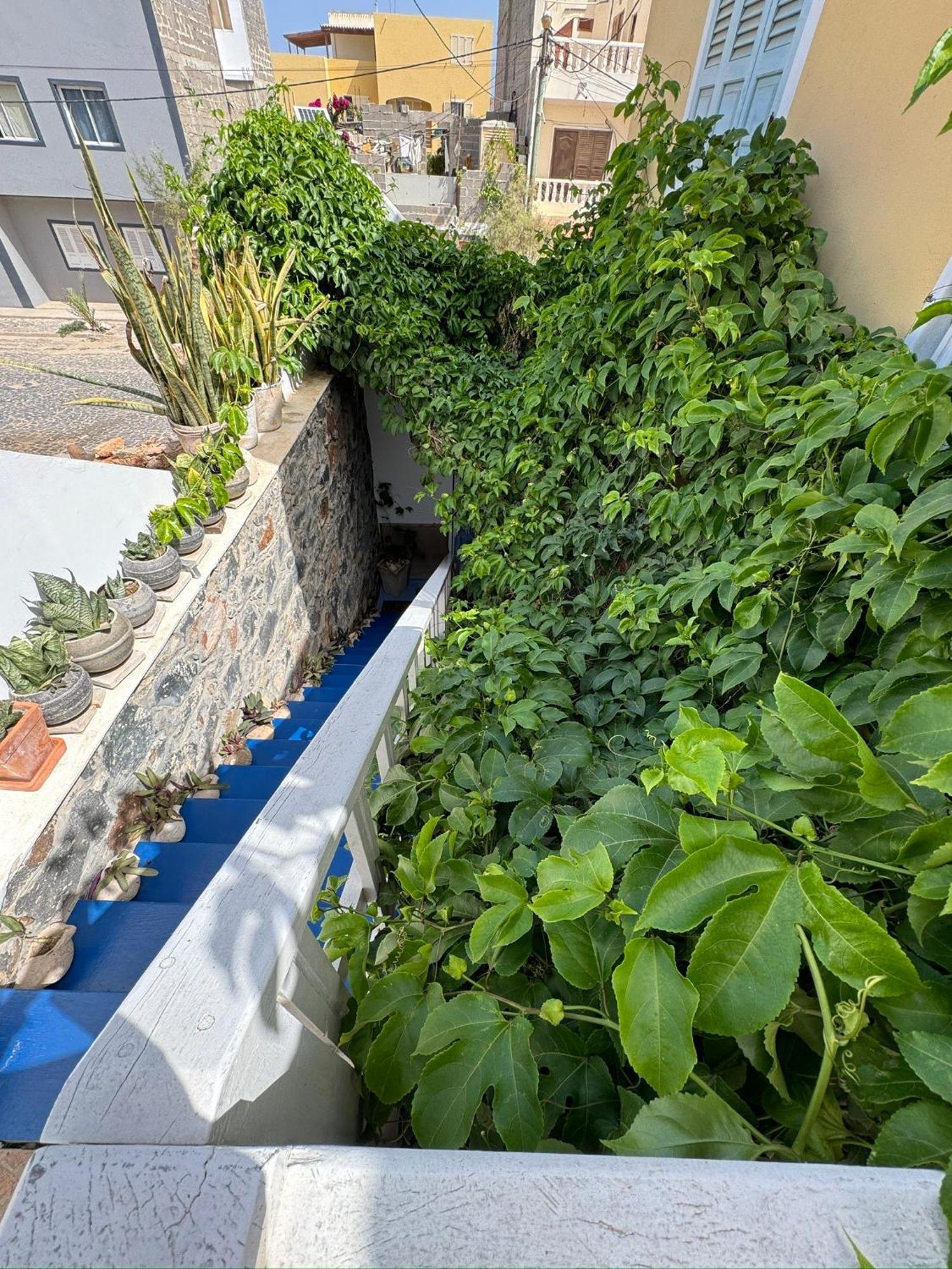 B&B Mi Ma Bo, Sal Rei, Boa Vista, Cape Verde, Free Wi-Fi Kültér fotó